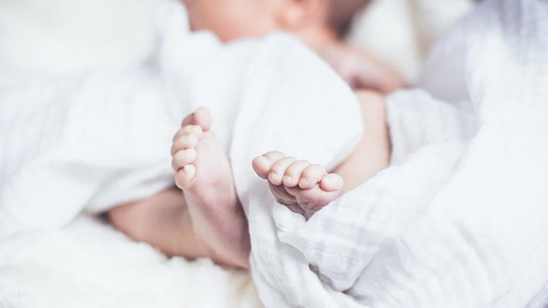 Bien mbi 7% lindjet dhe vdekjet në 3-mujorin e tretë, në 6 qarqe shtesa natyrore negative