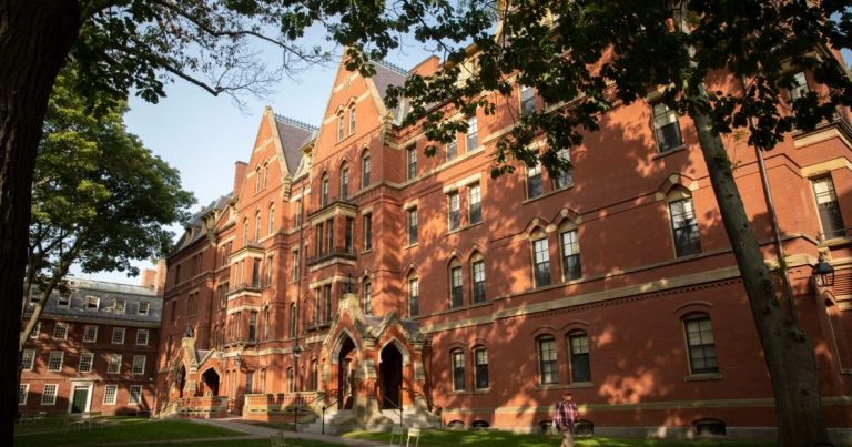Cilat janë 10 universitetet më të mira në botë