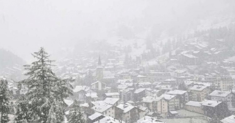 Zvicra mbulohet nga bora në gusht, bien me 30 gradë temperaturat